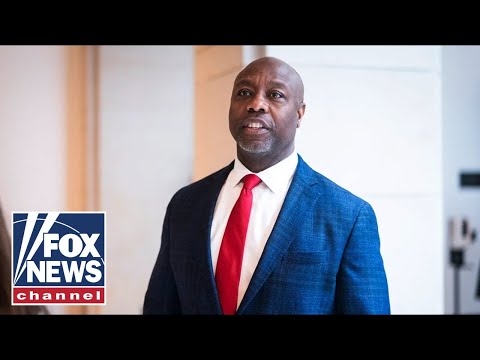 Read more about the article ‘DISGUSTING’: Tim Scott scorches ‘The Squad’ for pro-Palestine stance