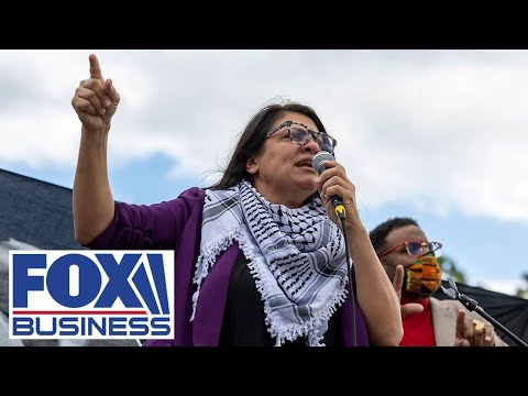 Read more about the article Tlaib doubles down, blaming Israel for Gaza hospital attack in viral video