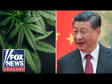Read more about the article This is another tactic from China to ‘destabilize’ America: Former DEA official
