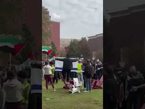 Read more about the article WATCH: Pro-Palestinian students at Harvard hold a ‘die-in’ #shorts