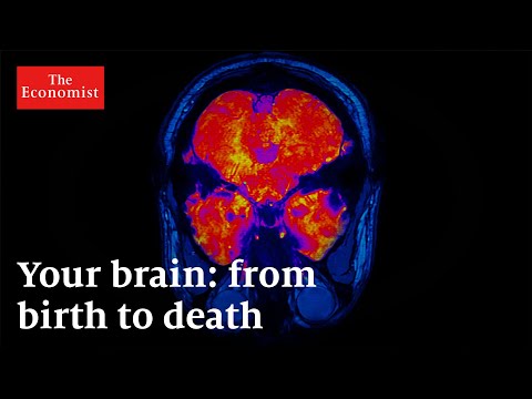 Read more about the article What happens to your brain as you age