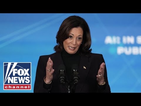 Read more about the article Kamala Harris is where federal initiatives go to die: Paul Mauro