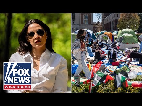 Read more about the article No ‘common sense’ to AOC’s idea of ‘peaceful’ protests