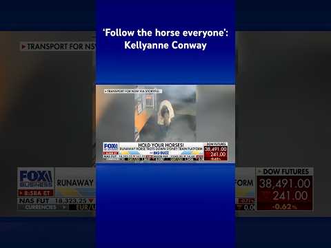 Read more about the article Sydney subway-goers greeted by runaway race horse #shorts