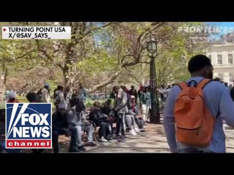 Read more about the article Migrants flood New York City Hall