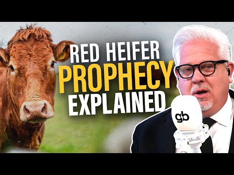 Read more about the article What Happens if Israel SACRIFICES a Red Heifer?