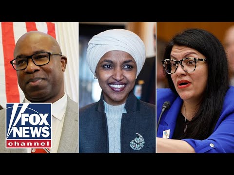 Read more about the article ‘Squad’ members leap to defend Ilhan Omar’s daughter after arrest