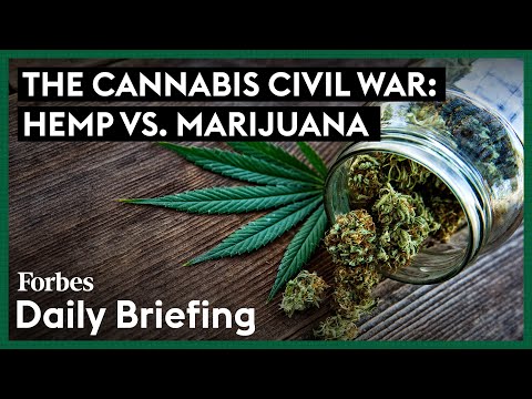 Read more about the article The Cannabis Civil War: Hemp vs. Marijuana