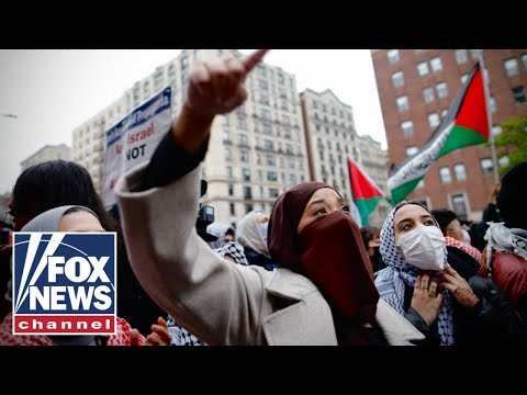 Read more about the article Anti-Israel protestors are following the BLM ‘script’: Rantz