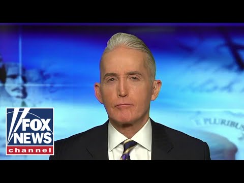 Read more about the article Trey Gowdy: Schumer didn’t want this to be aired publicly
