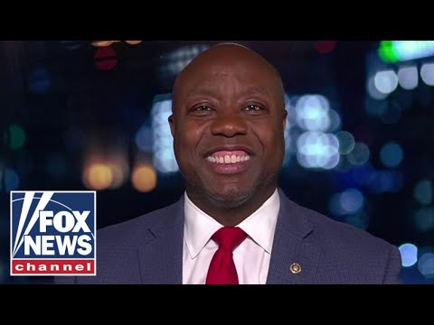 Read more about the article Tim Scott: The media is not showing the truth of who Biden has always been