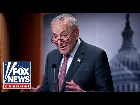 Read more about the article ‘SURPRISE IN WASHINGTON’: Chuck Schumer to bring back Senate border bill