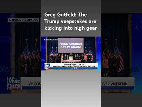 Read more about the article Greg Gutfeld: Some say Kristi Noem is barking up the wrong tree #shorts